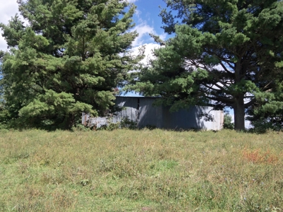 Floyd VA Farmland for Sale! - image 6