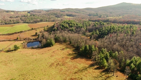 Floyd VA Farmland for Sale! - image 16