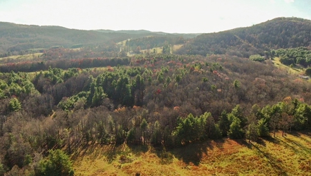 Wooded Land for Sale in Floyd VA! - image 11