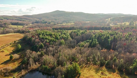 Wooded Land for Sale in Floyd VA! - image 14