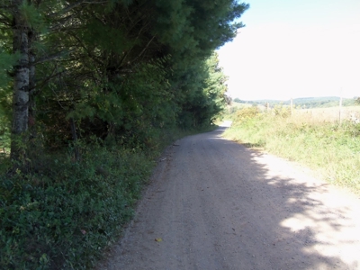 Wooded Land for Sale in Floyd VA! - image 2