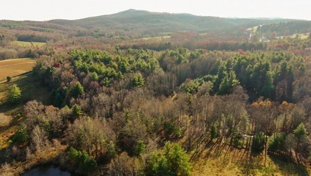 Wooded Land for Sale in Floyd VA! - image 13