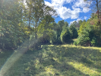 Wooded Land for Sale in Floyd VA! - image 9