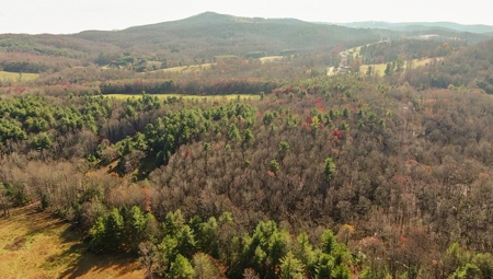 Wooded Land for Sale in Floyd VA! - image 12