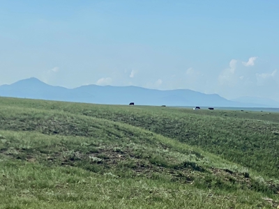 High-end 3 bed 2 bath home on 320 acres with mountain views - image 43