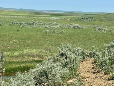 High-end 3 bed 2 bath home on 320 acres with mountain views - image 45