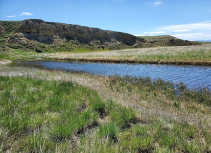 High-end 3 bed 2 bath home on 320 acres with mountain views - image 35