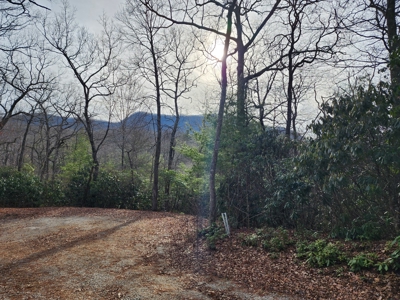 6.91+/- Acres Near Pisgah National Forest Linville Falls! - image 9