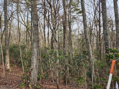 6.91+/- Acres Near Pisgah National Forest Linville Falls! - image 11