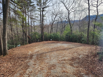 6.91+/- Acres Near Pisgah National Forest Linville Falls! - image 10