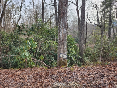 6.91+/- Acres Near Pisgah National Forest Linville Falls! - image 18