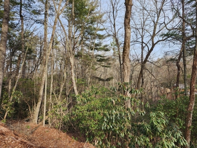 6.91+/- Acres Near Pisgah National Forest Linville Falls! - image 6