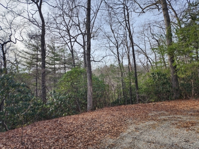 6.91+/- Acres Near Pisgah National Forest Linville Falls! - image 3