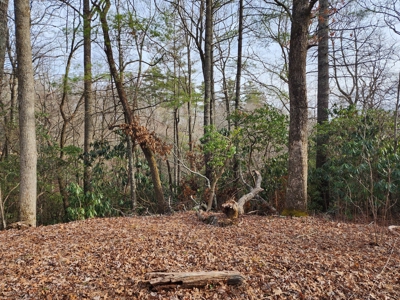 6.91+/- Acres Near Pisgah National Forest Linville Falls! - image 5