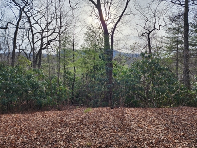 6.91+/- Acres Near Pisgah National Forest Linville Falls! - image 4