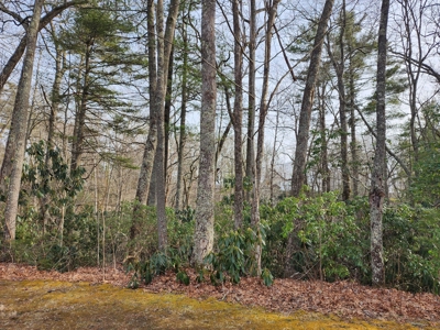 6.91+/- Acres Near Pisgah National Forest Linville Falls! - image 14