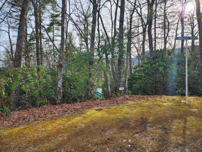 6.91+/- Acres Near Pisgah National Forest Linville Falls! - image 16