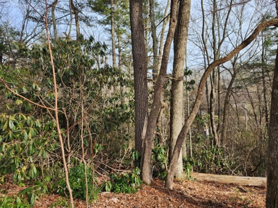 6.91+/- Acres Near Pisgah National Forest Linville Falls! - image 7