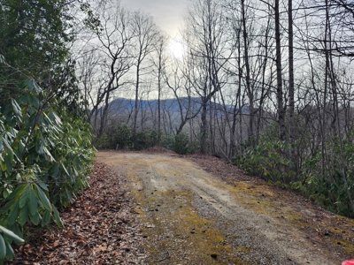 6.91+/- Acres Near Pisgah National Forest Linville Falls! - image 19