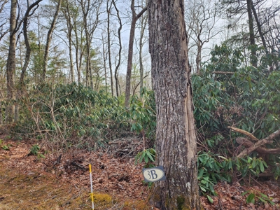 6.91+/- Acres Near Pisgah National Forest Linville Falls! - image 13