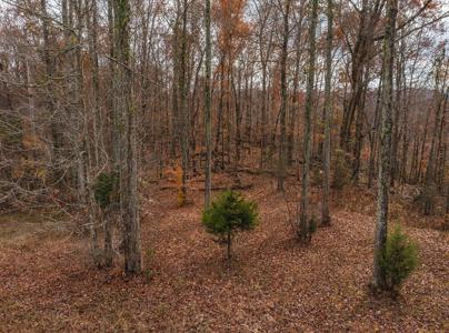 Log Home w Unrestricted Acreage for Sale Hancock County TN - image 22