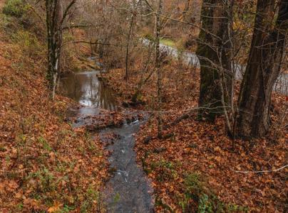 Log Home w Unrestricted Acreage for Sale Hancock County TN - image 25