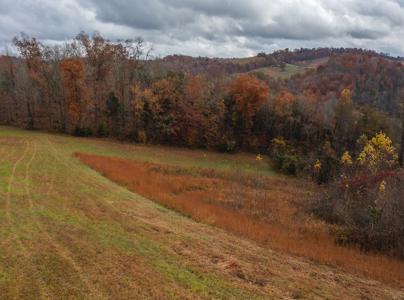 Log Home w Unrestricted Acreage for Sale Hancock County TN - image 21