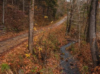 Log Home w Unrestricted Acreage for Sale Hancock County TN - image 24