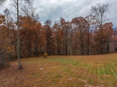 Log Home w Unrestricted Acreage for Sale Hancock County TN - image 23