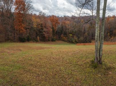 Log Home w Unrestricted Acreage for Sale Hancock County TN - image 18