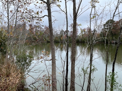 Hunting/Fishing Property for sale in Beaufort County - image 47