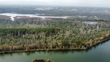 Hunting/Fishing Property for sale in Beaufort County - image 24