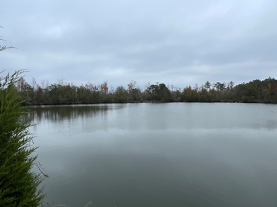 Hunting/Fishing Property for sale in Beaufort County - image 28