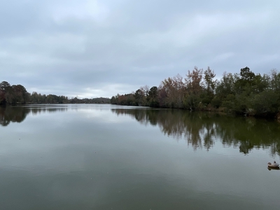 Hunting/Fishing Property for sale in Beaufort County - image 44