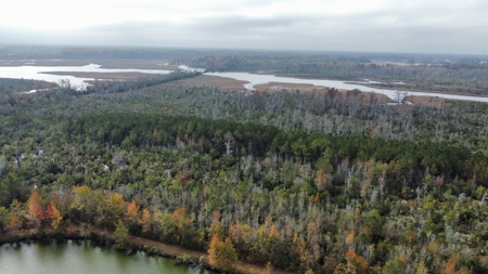 Hunting/Fishing Property for sale in Beaufort County - image 12