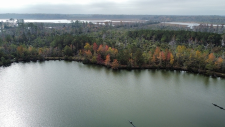 Hunting/Fishing Property for sale in Beaufort County - image 5