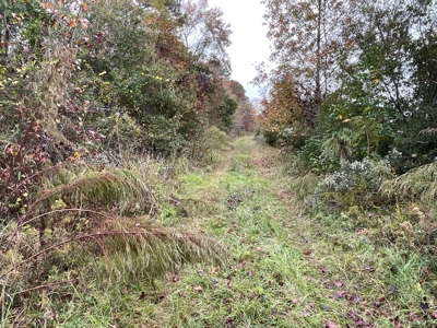 Hunting/Fishing Property for sale in Beaufort County - image 39