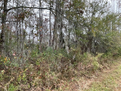 Hunting/Fishing Property for sale in Beaufort County - image 43