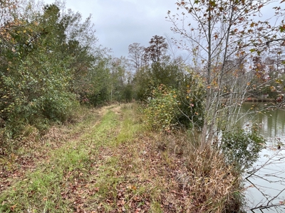 Hunting/Fishing Property for sale in Beaufort County - image 48