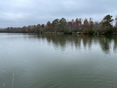 Hunting/Fishing Property for sale in Beaufort County - image 33