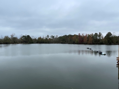 Hunting/Fishing Property for sale in Beaufort County - image 29