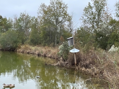 Hunting/Fishing Property for sale in Beaufort County - image 46