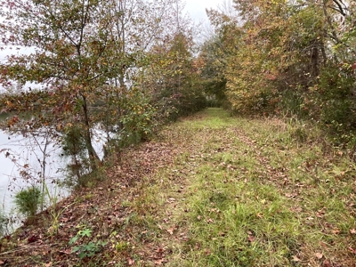 Hunting/Fishing Property for sale in Beaufort County - image 40
