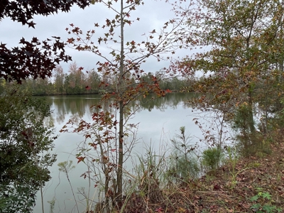 Hunting/Fishing Property for sale in Beaufort County - image 41