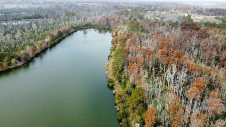 Hunting/Fishing Property for sale in Beaufort County - image 20