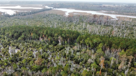 Hunting/Fishing Property for sale in Beaufort County - image 13