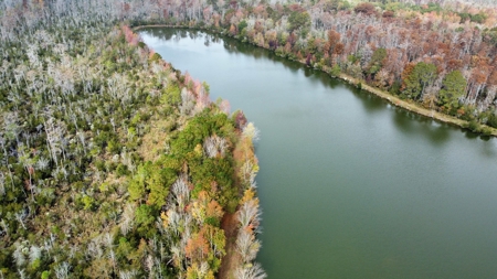 Hunting/Fishing Property for sale in Beaufort County - image 15
