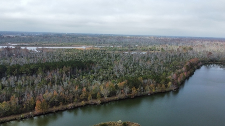 Hunting/Fishing Property for sale in Beaufort County - image 10