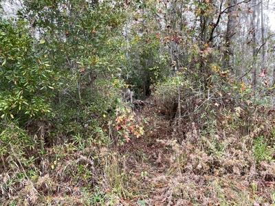 Hunting/Fishing Property for sale in Beaufort County - image 42
