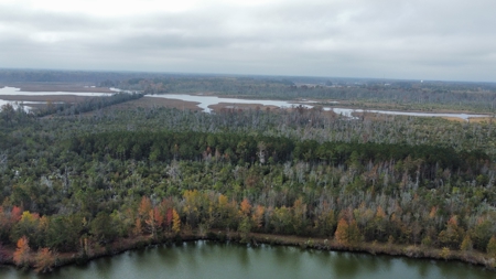 Hunting/Fishing Property for sale in Beaufort County - image 9
